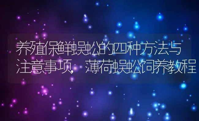 养殖保鲜蜈蚣的四种方法与注意事项,薄荷蜈蚣饲养教程 | 养殖常见问题