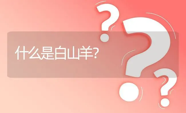 什么是白山羊? | 养殖问题解答