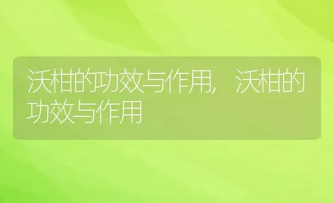 沃柑的功效与作用,沃柑的功效与作用 | 养殖常见问题