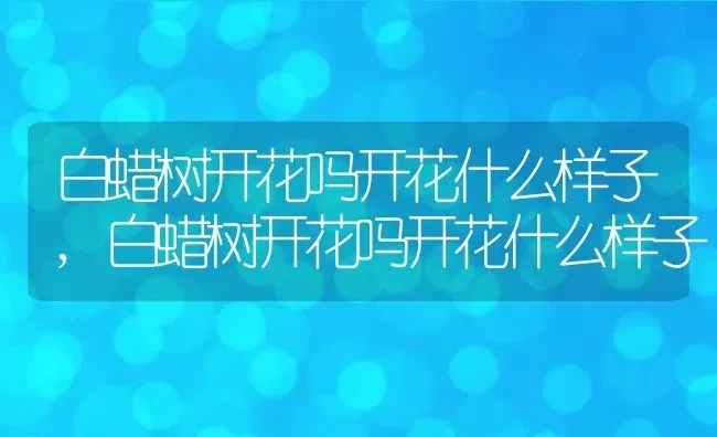白蜡树开花吗开花什么样子,白蜡树开花吗开花什么样子 | 养殖常见问题