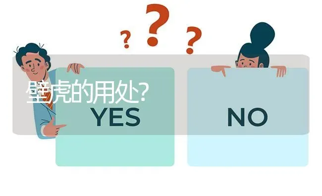 壁虎的用处? | 养殖问题解答