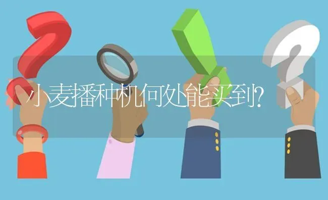 小麦播种机何处能买到? | 养殖问题解答