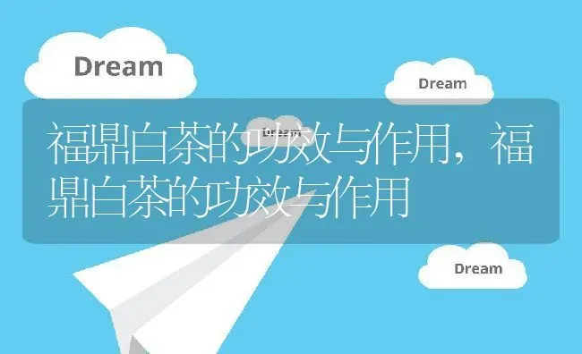 福鼎白茶的功效与作用,福鼎白茶的功效与作用 | 养殖常见问题