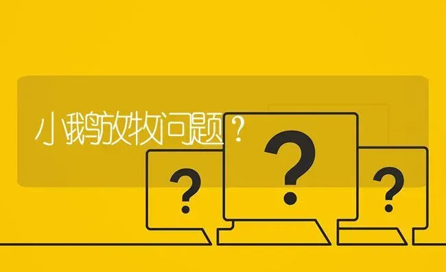 小鹅放牧问题? | 养殖问题解答