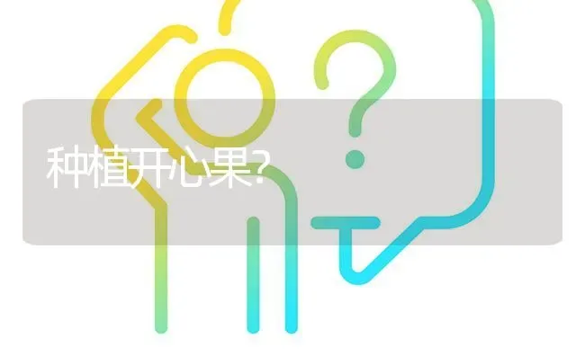 种植开心果? | 养殖问题解答