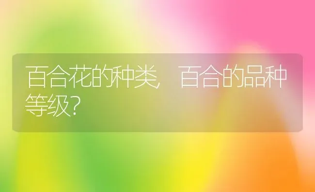 百合花的种类,百合的品种等级？ | 养殖常见问题