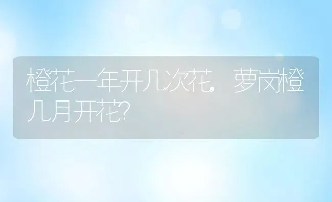 香港的区花是什么花,紫荆花红旗的寓意是什么？ | 养殖常见问题