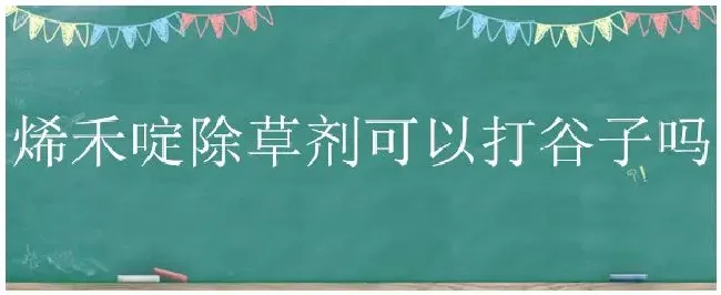 烯禾啶除草剂可以打谷子吗 | 三农答疑