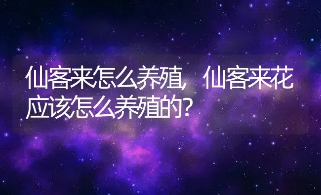 仙客来怎么养殖,仙客来花应该怎么养殖的？ | 养殖常见问题