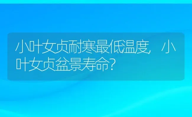 小叶女贞耐寒最低温度,小叶女贞盆景寿命？ | 养殖常见问题