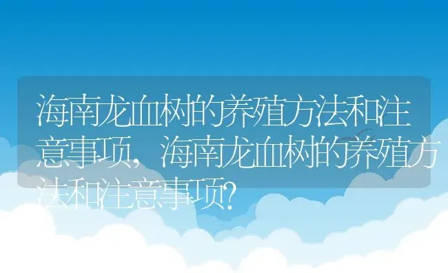 海南龙血树的养殖方法和注意事项,海南龙血树的养殖方法和注意事项？ | 养殖常见问题