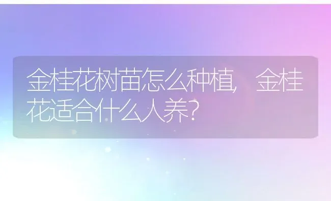 金桂花树苗怎么种植,金桂花适合什么人养？ | 养殖常见问题