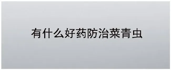 有什么好药防治菜青虫 | 农业常识