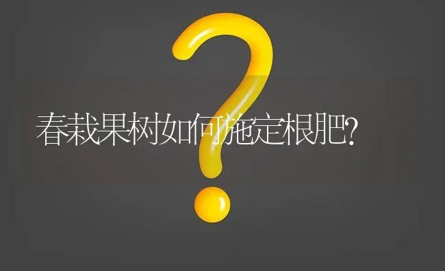 春栽果树如何施定根肥? | 养殖问题解答