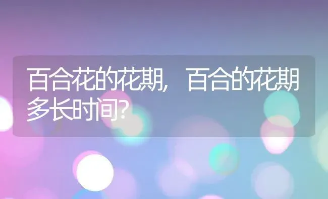 百合花的花期,百合的花期多长时间？ | 养殖常见问题