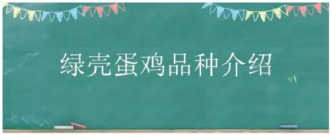 绿壳蛋鸡品种介绍 | 农业常识