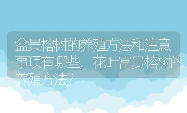 盆景榕树的养殖方法和注意事项有哪些,花叶富贵榕树的养殖方法？ | 养殖常见问题