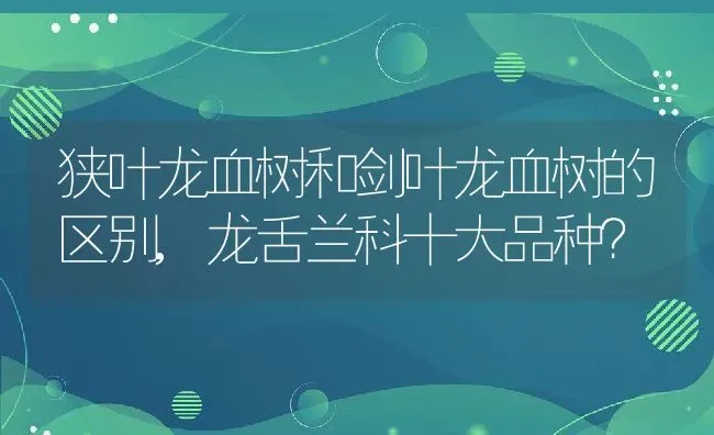 狭叶龙血树和剑叶龙血树的区别,龙舌兰科十大品种？ | 养殖常见问题