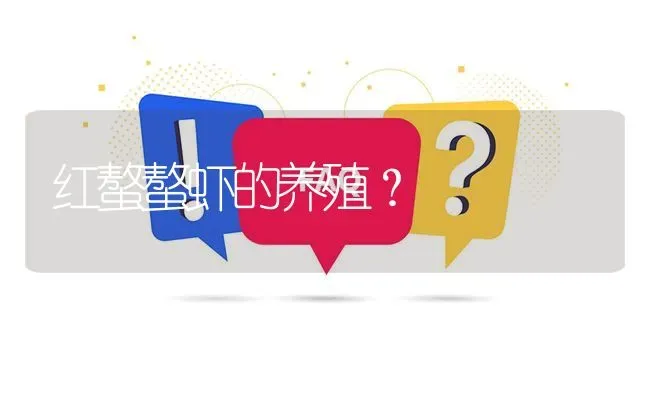 红螯螯虾的养殖? | 养殖问题解答