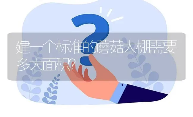 建一个标准的蘑菇大棚需要多大面积? | 养殖问题解答