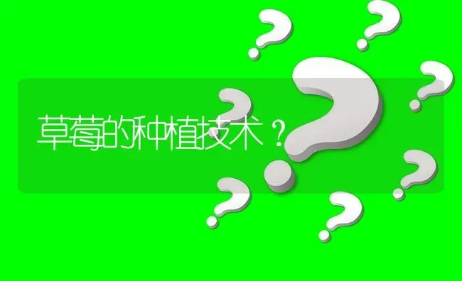 草莓的种植技术? | 养殖问题解答