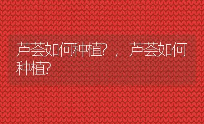 芦荟如何种植?,芦荟如何种植? | 养殖常见问题