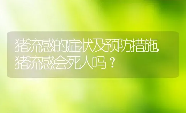 猪流感的症状及预防措施,猪流感会死人吗﹖ | 养殖常见问题