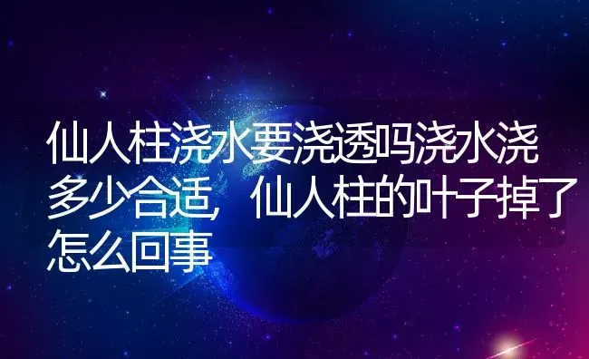 仙人柱浇水要浇透吗浇水浇多少合适,仙人柱的叶子掉了怎么回事 | 养殖常见问题