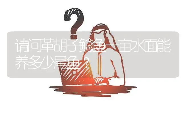 请问革胡子鲶鱼一亩水面能养多少尾鱼? | 养殖问题解答