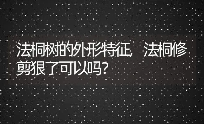 法桐树的外形特征,法桐修剪狠了可以吗？ | 养殖常见问题