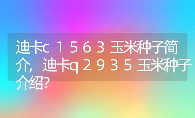 迪卡c1563玉米种子简介,迪卡q2935玉米种子介绍？ | 养殖常见问题