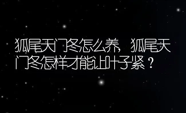 狐尾天门冬怎么养,狐尾天门冬怎样才能让叶子紧？ | 养殖常见问题