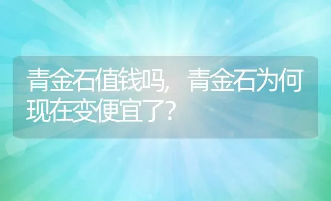 青金石值钱吗,青金石为何现在变便宜了？ | 养殖常见问题