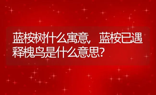 蓝桉树什么寓意,蓝桉已遇释槐鸟是什么意思？ | 养殖常见问题