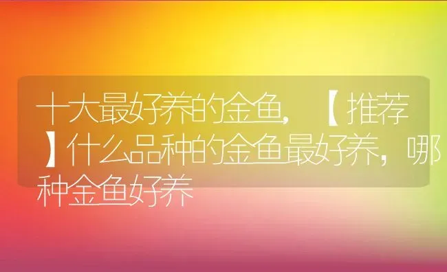 什么花的花语是分手,什么花的花语是爱而无法挽留？ | 养殖常见问题