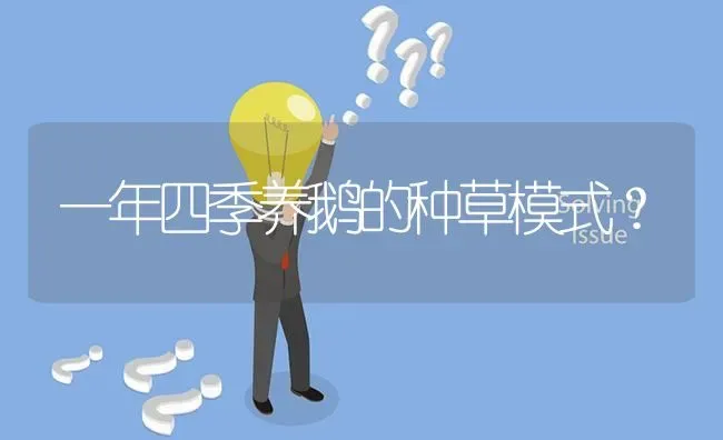 一年四季养鹅的种草模式? | 养殖问题解答