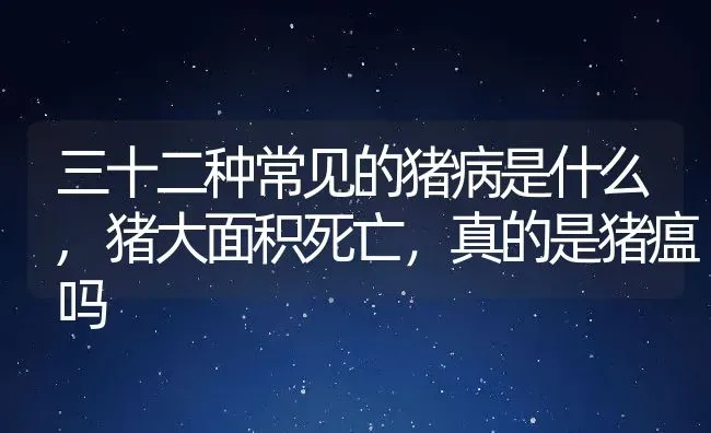 三十二种常见的猪病是什么,猪大面积死亡，真的是猪瘟吗 | 养殖常见问题