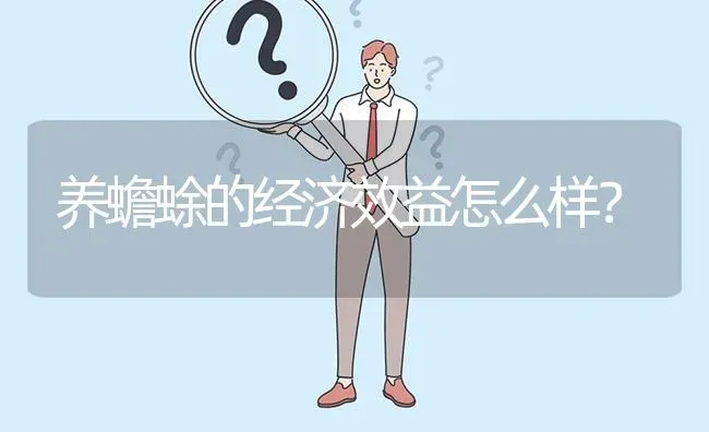 养蟾蜍的经济效益怎么样? | 养殖问题解答