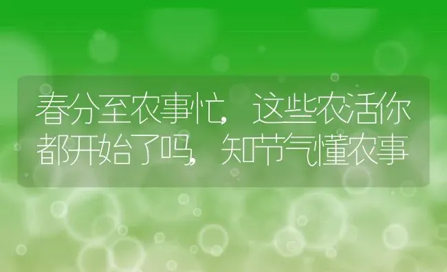 春分至农事忙,这些农活你都开始了吗,知节气懂农事 | 养殖常见问题