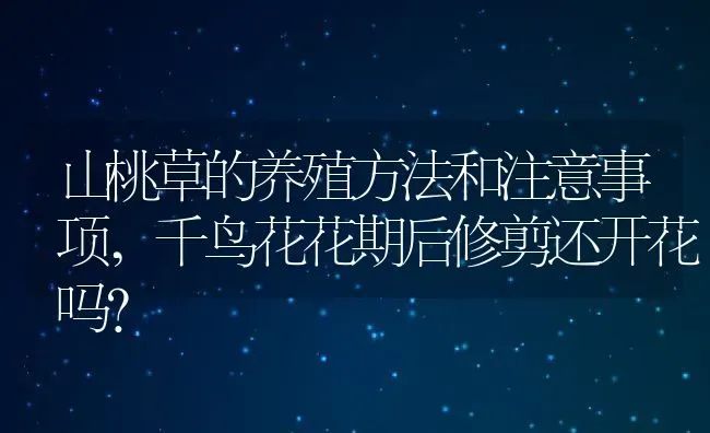 山桃草的养殖方法和注意事项,千鸟花花期后修剪还开花吗？ | 养殖常见问题