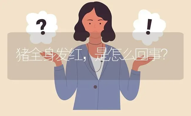 猪全身发红,是怎么回事? | 养殖问题解答