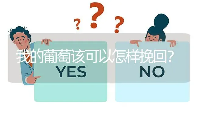 我的葡萄该可以怎样挽回? | 养殖问题解答