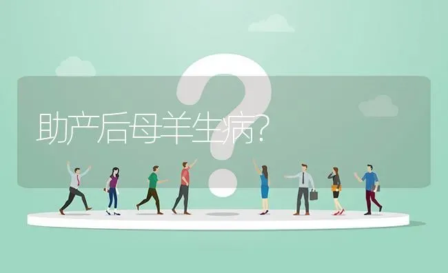 助产后母羊生病? | 养殖问题解答