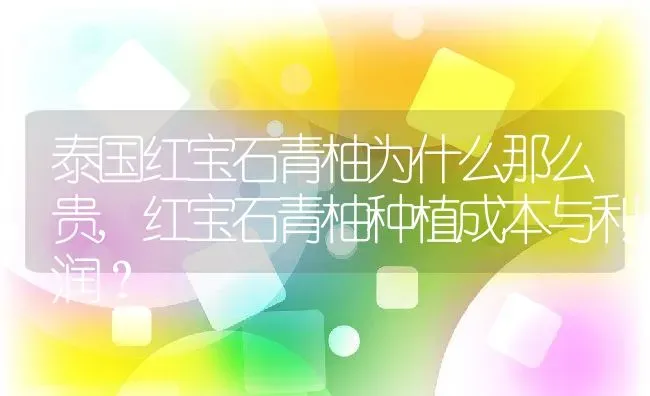 泰国红宝石青柚为什么那么贵,红宝石青柚种植成本与利润？ | 养殖常见问题