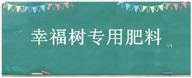 幸福树专用肥料 | 三农答疑