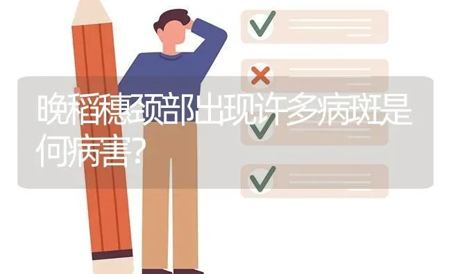 晚稻穗颈部出现许多病斑是何病害? | 养殖问题解答