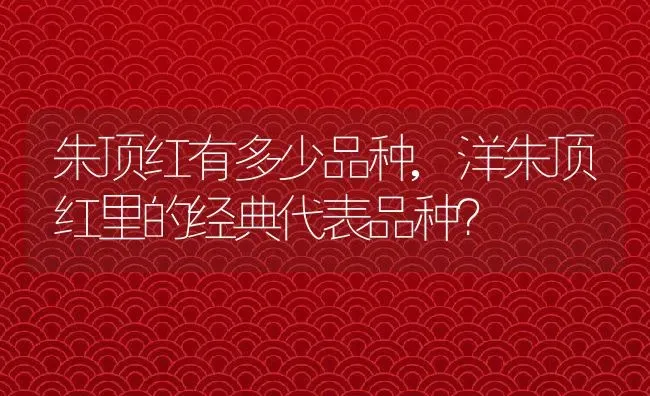 朱顶红有多少品种,洋朱顶红里的经典代表品种？ | 养殖常见问题