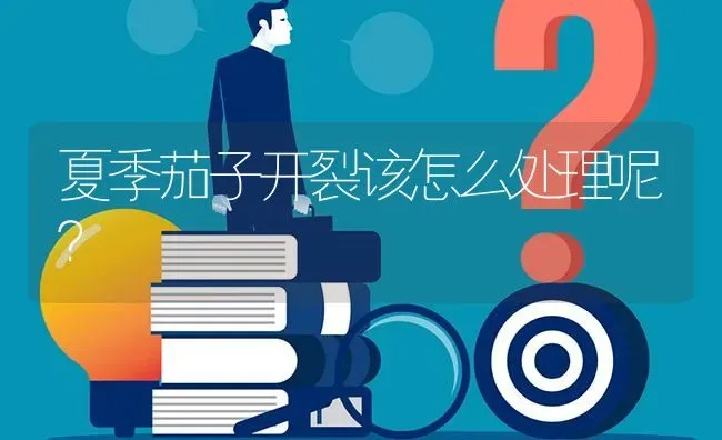 夏季茄子开裂该怎么处理呢? | 养殖问题解答