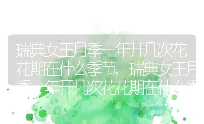 瑞典女王月季一年开几次花花期在什么季节,瑞典女王月季一年开几次花花期在什么季节 | 养殖常见问题