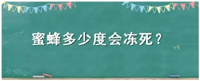 蜜蜂多少度会冻死 | 农业问题